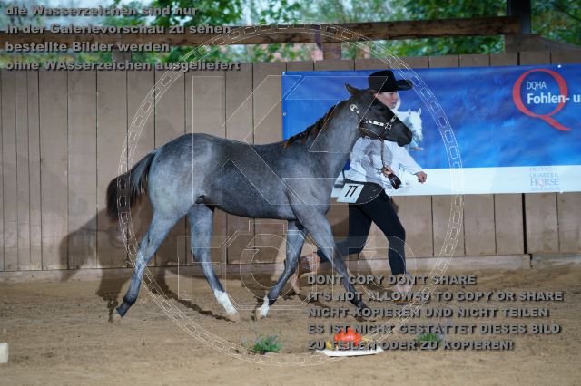s_K3F04725.JPG